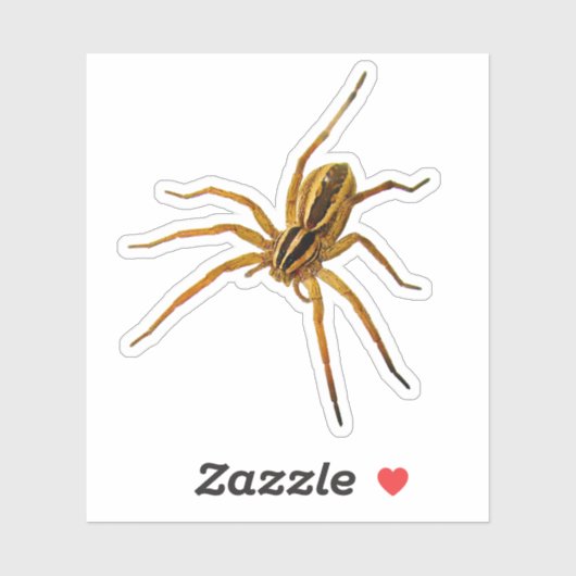 Rabid Wolf Spider (Rabidosa rabida) Sticker (Vel)