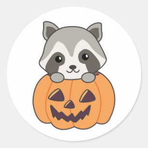 Raccin in Pumpkin Sweet Raccoon Happy Halloween Ronde Sticker