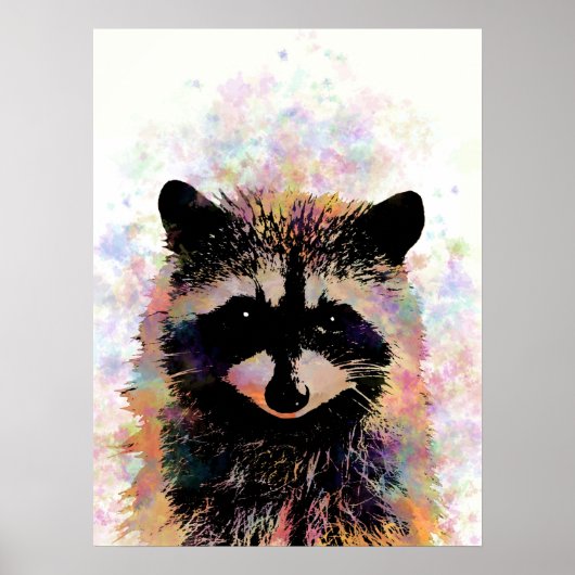 Raccon 27 poster (Voorkant)