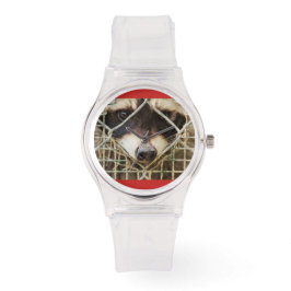 RACCON Aangepast roestvrij LEER  HORLOGE