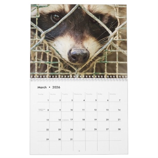 raccon-kalender kalender (Mar 2026)