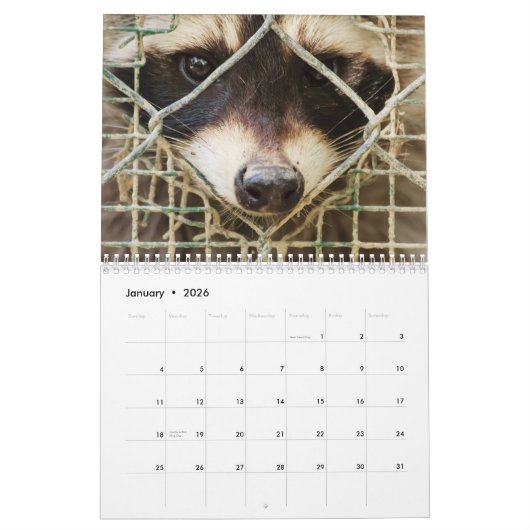 raccon-kalender kalender (Jan 2026)