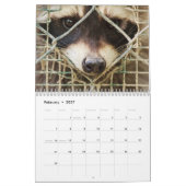 raccon-kalender kalender (Feb 2027)