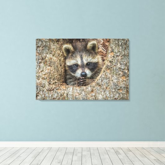 Raccon Nestled Inside a Tree Hollow Canvas Afdruk (Insitu (Houten vloer))