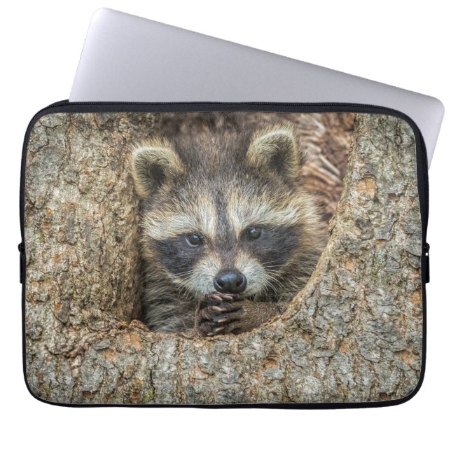 Raccon Nestled Inside a Tree Hollow Laptop Sleeve (Voorkant)