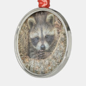 Raccon Nestled Inside a Tree Hollow Metalen Ornament (Links)