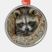 Raccon Nestled Inside a Tree Hollow Metalen Ornament (Voorkant)