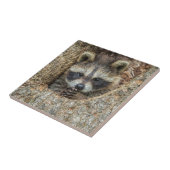 Raccon Nestled Inside a Tree Hollow Tegeltje (Zijkant)