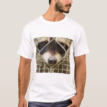 raccon on t - shirts