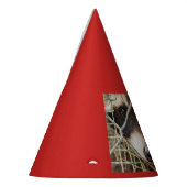 RACCON PET PARTIJ FEESTHOEDJES (Links)