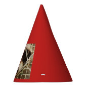 RACCON PET PARTIJ FEESTHOEDJES (Rechts)