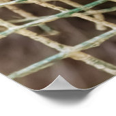 RACCON WAARDE POSTER (Hoek)