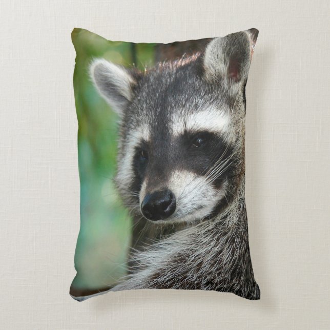 Raccoon 001 accent kussen (Voorkant(Verticaal))