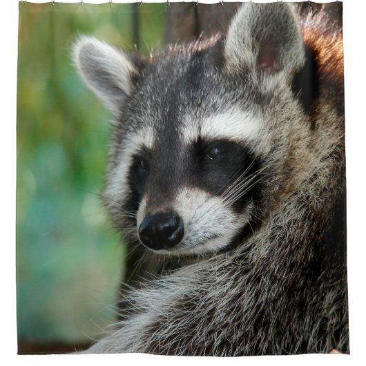 Raccoon 001 douchegordijn (Voorkant)