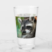 Raccoon 001 glas (Achterkant)