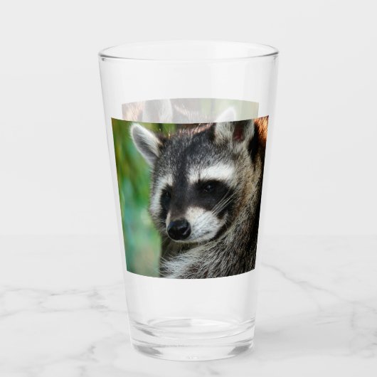 Raccoon 001 glas (Voorkant)