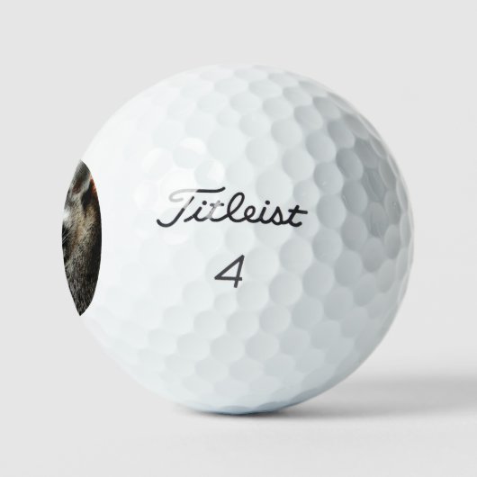 Raccoon 001 golfballen (Logo)