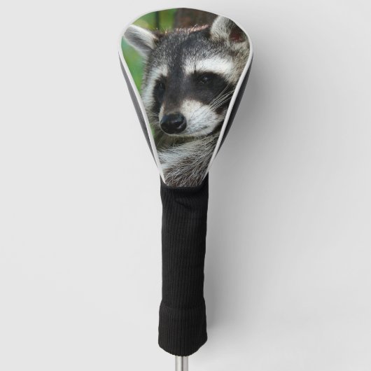 Raccoon 001 golfheadcover (Voorkant)