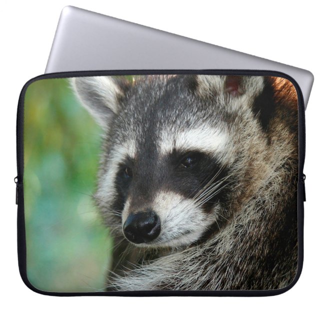Raccoon 001 laptop sleeve (Voorkant)