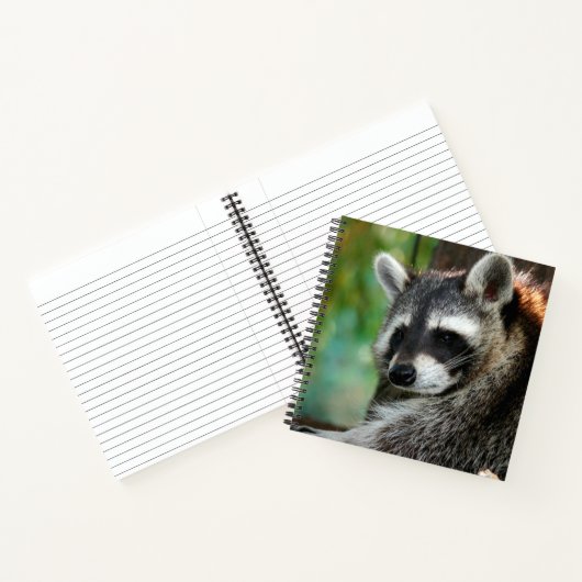 Raccoon 001 notitieboek (Binnen)