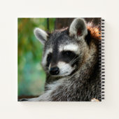 Raccoon 001 notitieboek (Achterkant)