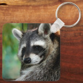 Raccoon 001 sleutelhanger (Achterkant)