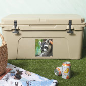 Raccoon 001 sticker (Koeler)