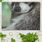 Raccoon 001 theedoek (Gevouwen)