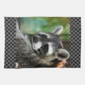 Raccoon 001 theedoek (Horizontaal)