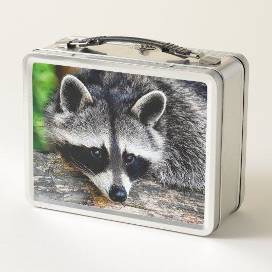 Raccoon 003 (Achterkant)