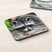 Raccoon 003 bier onderzetter (Linkerzijde)