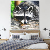 Raccoon 003 canvas afdruk (Insitu (Slaapkamer))