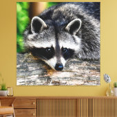 Raccoon 003 canvas afdruk (Insitu (Woonkamer))