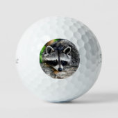 Raccoon 003 golfballen (Voorkant)