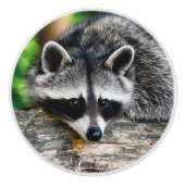 Raccoon 003 keramische knop (Voorkant)