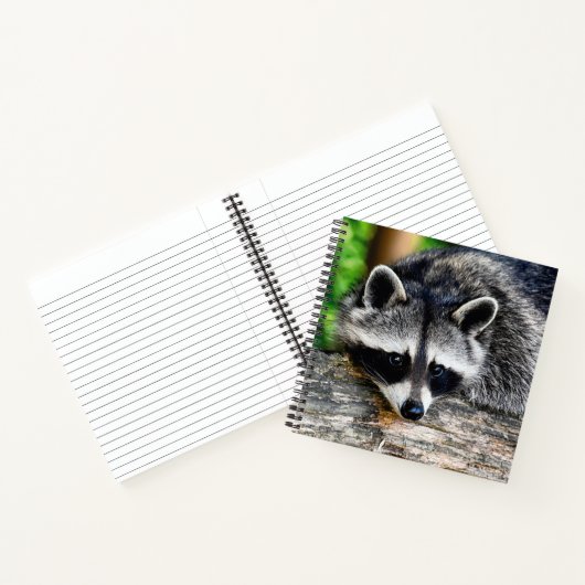 Raccoon 003 notitieboek (Binnen)
