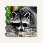 Raccoon 003 notitieboek (Voorkant)