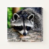Raccoon 003 notitieboek (Achterkant)