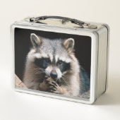 Raccoon 004 (Achterkant)