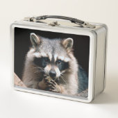 Raccoon 004 (Voorkant)