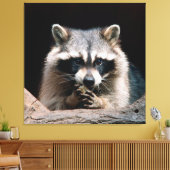 Raccoon 004 canvas afdruk (Insitu (Woonkamer))