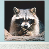 Raccoon 004 canvas afdruk (Insitu (Houten vloer))