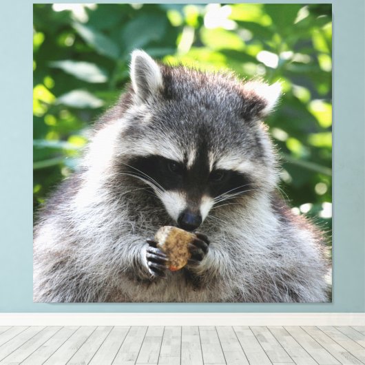 Raccoon 004 canvas afdruk (Insitu (Houten vloer))