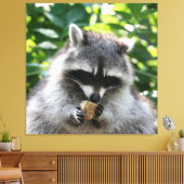 Raccoon 004 canvas afdruk (Insitu (Woonkamer))