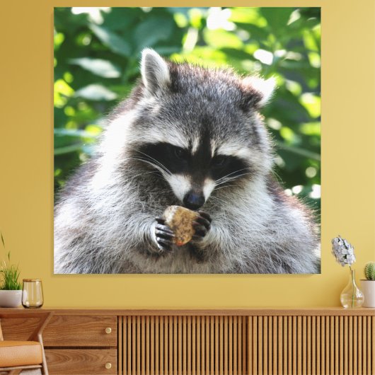 Raccoon 004 canvas afdruk (Insitu (Woonkamer))