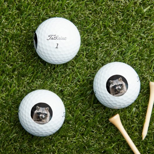 Raccoon 004 golfballen (Insitu Gras)