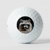 Raccoon 004 golfballen (Voorkant)