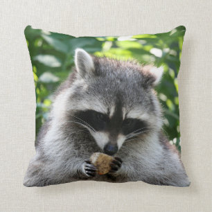 Raccoon 004 kussen