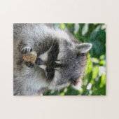 Raccoon 004 legpuzzel (Horizontaal)