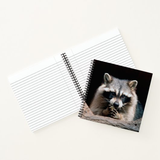 Raccoon 004 notitieboek (Binnen)